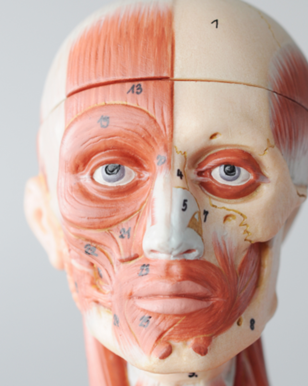 Unlike other HIFU, Ultherapy Prime: